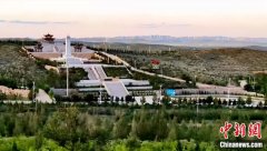 <b>这不是普通的城市噪音</b>