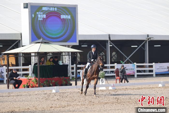 衡水站盛装舞步马术俱乐