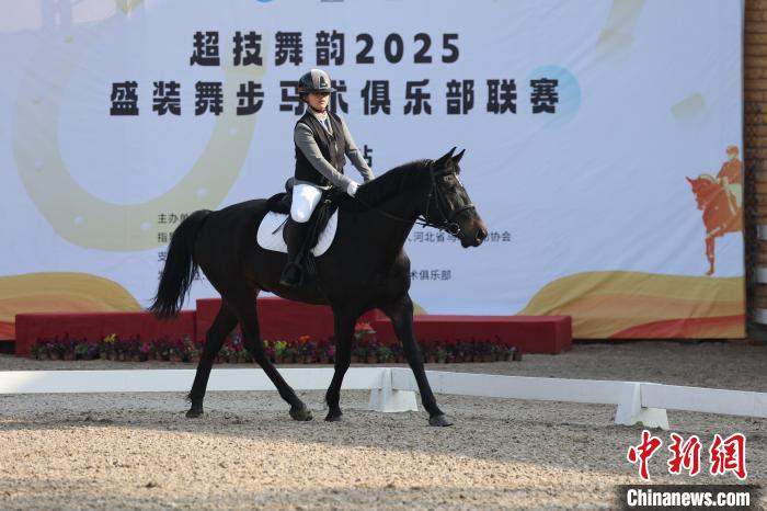 衡水站盛装舞步马术俱乐部联赛开幕：来自北京